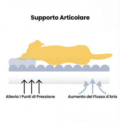 Ortocalma™ Divanetto Ortopedico Calmante